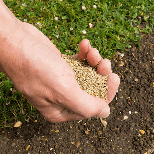 Growth enhancement techniques