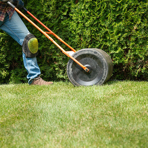 Sod care and maintenance