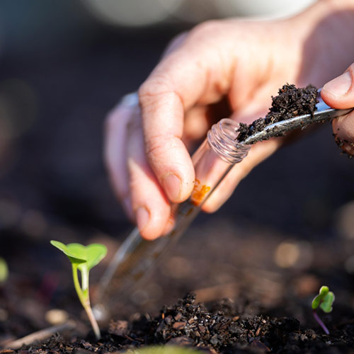 Soil sample collection