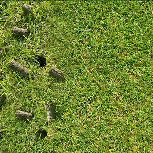 Lawn recovery and health