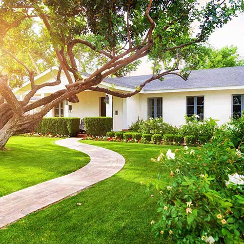 Beautiful Landscaping