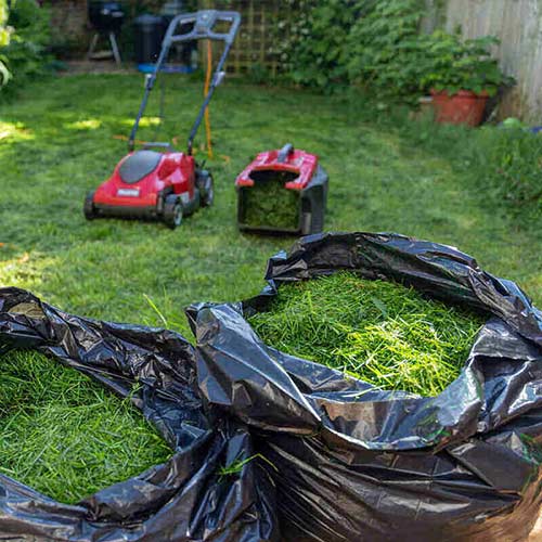 Cleanup grass