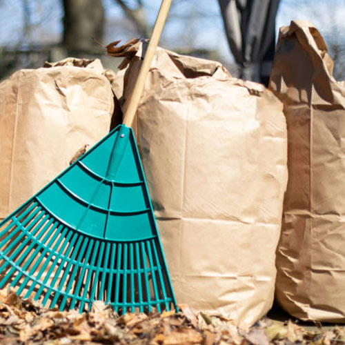 Eco-friendly leaf disposal