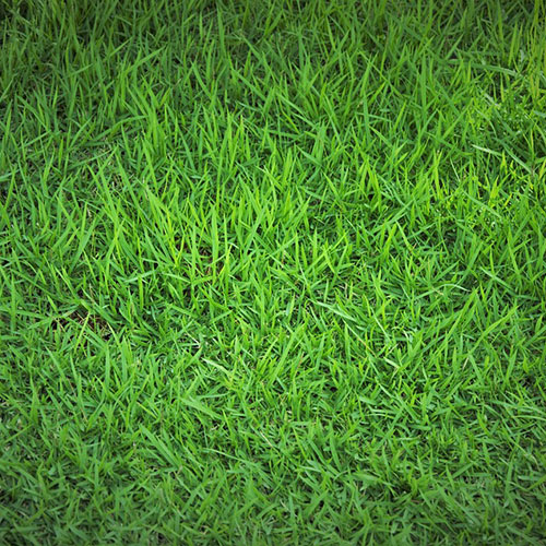 Improving soil structure