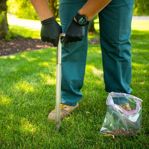 Lawn Analysis