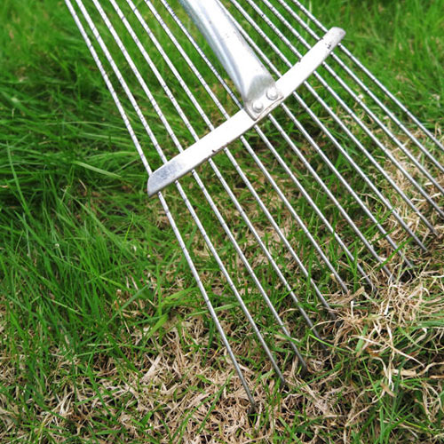 Dethatching process