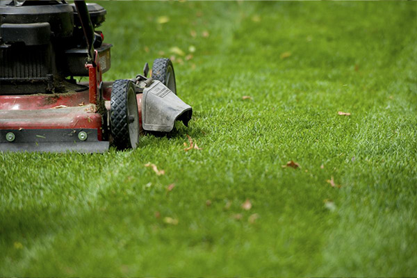 Lawn Mowing