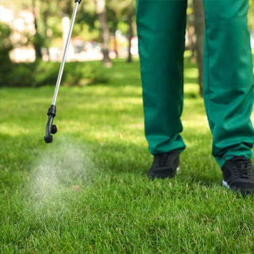 Spraying pesticide with portable sprayer