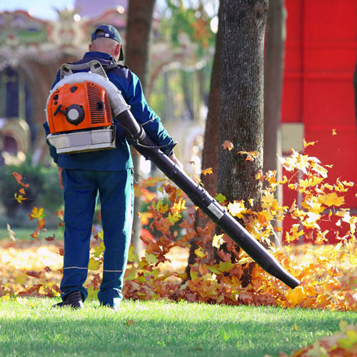 Efficient leaf removal process