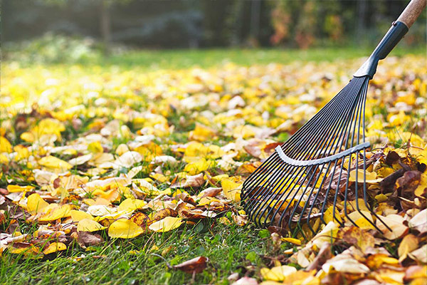 Leaf removal