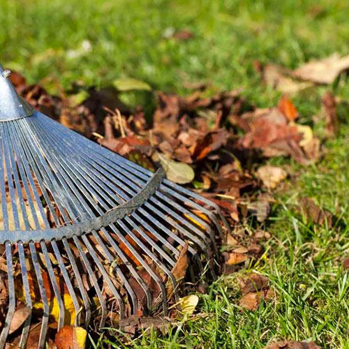 Preventative measures for leaf accumulation