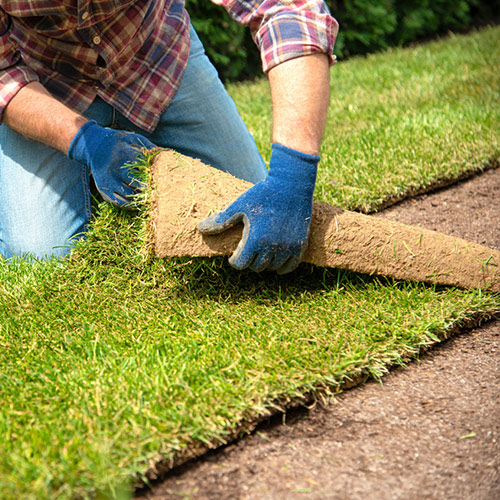 Sod installation process
