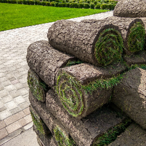 Selecting sod