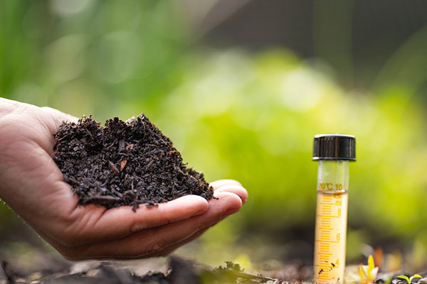 Soil testing