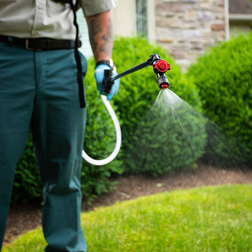 Spray weed control solution