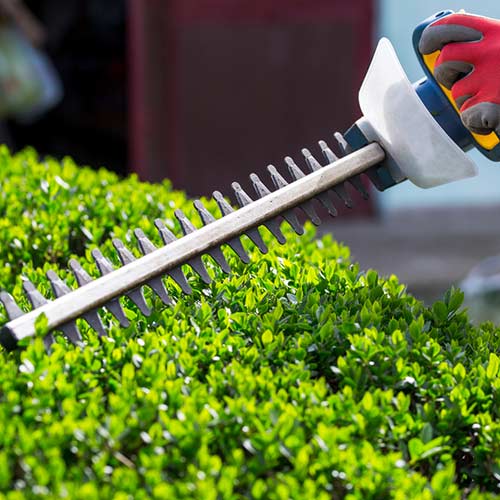 Trimming machine